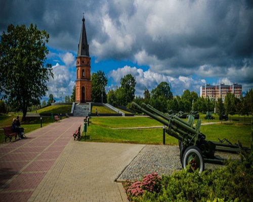 Буйническое поле